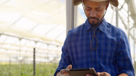 man using digital tablet in blueberry farm 4k