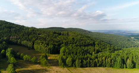 aerialof beautiful green forest in a rural landscape 1