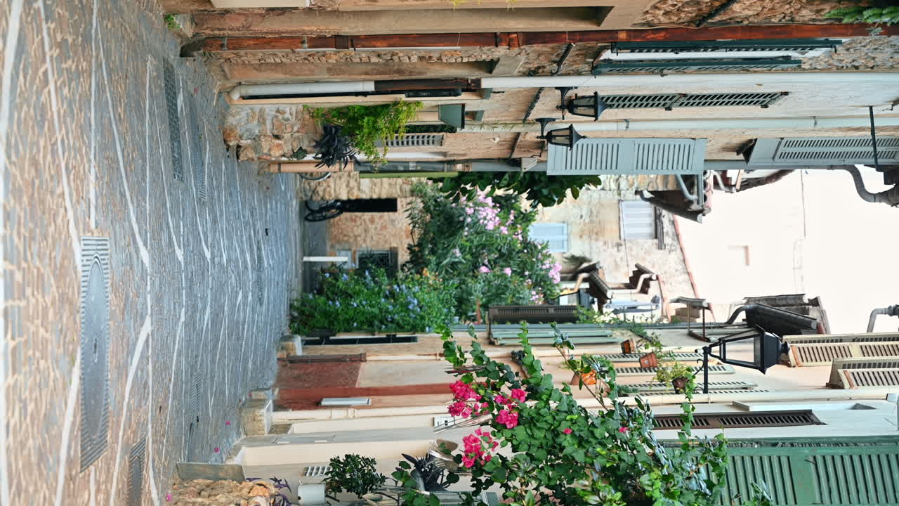 Street view of Antibes, France. Narrow street in old town, old traditional buildings, greenery. Vertical view