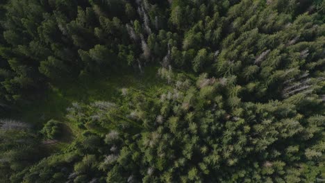 montañas de bosques de coníferas sobre aldeas rurales en la región de podhale, cyrhla, sur de polonia