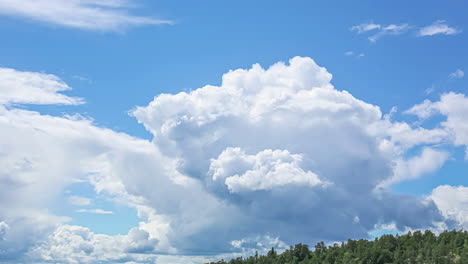 Time-lapse-of-dense-clouds-moving-in-different-ways-in-a-vivid-blue-sky-above-a-forest