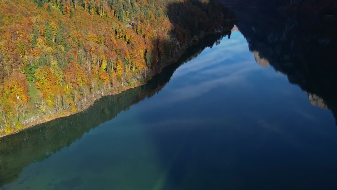 Alberi con colori autunnali