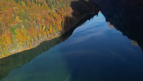 Bäume-In-Herbstfarben-In-Der-Herbstsaison