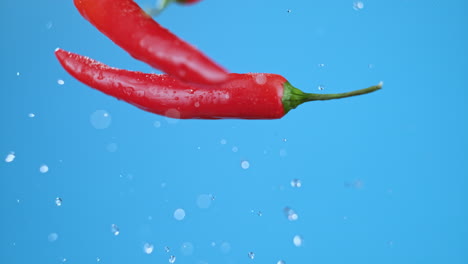 three large red hot chili bell peppers launched in air, fresh cooking ingredients