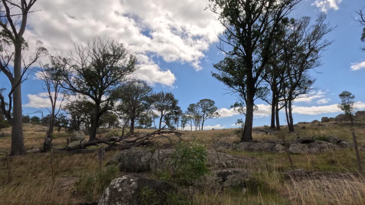 árboles y rocas bajo un cielo parcialmente nublado