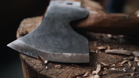 close up of wood-crafting hatchet