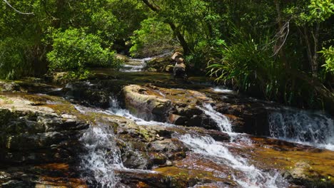 Corriente-De-Agua-Del-Parque-Nacional-Springbrook-A-Cascadas,-Costa-Dorada,-Queensland,-Australia