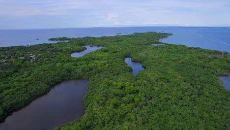 Lagunas-Frescas-De-Manglares-En-Isla-Grande-Isla-Colombiana