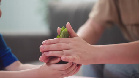 woman gives young seedling to smiling little son at table