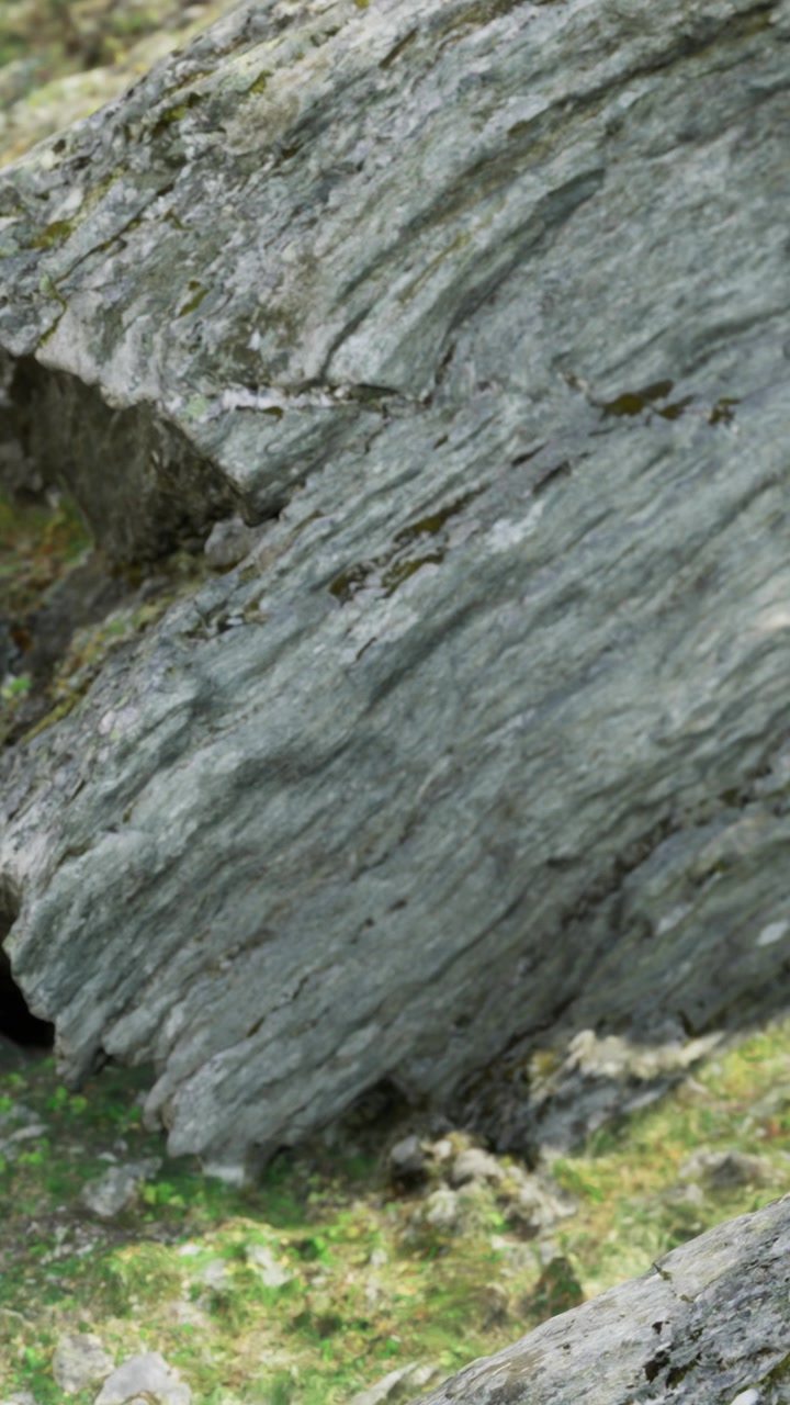 Rocce con motivi naturali situate in un'area forestale durante il giorno.