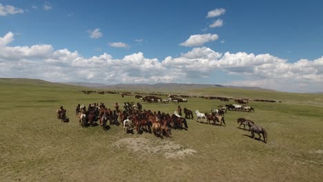 Erstaunliche-Drohnenaufnahme-Aus-Der-Luft,-Die-Einer-Pferdeherde-In-Der-Mongolischen-Endlosen-Steppe-Folgt