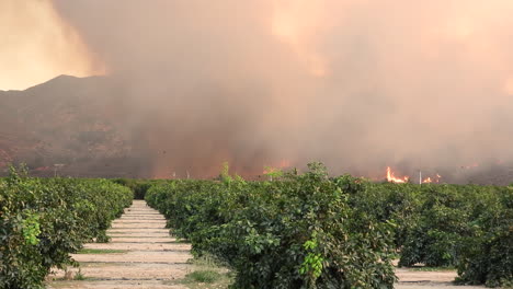 Incendios-Forestales-Destructivos-Fairview-Fire-Hemet-California