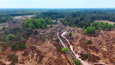 winding river in green forest. a serene landscape with a winding river surrounded by lush greenery and expansive fields under a blue sky