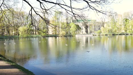 park pond with palace in the background