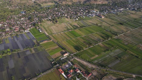 aerial-view,-vast-rice-fields-and-rural-Bantul,-Indonesia