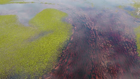 the patanal is the largest wetlands in the world