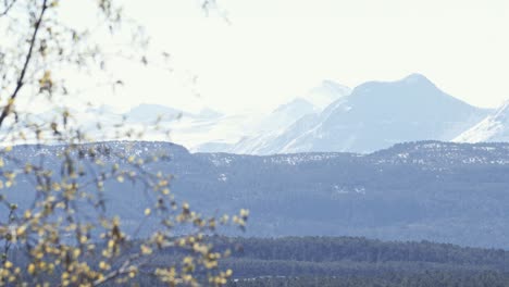 Tree-branches-on-windy-day-with-majestic-mountain-range-in-background