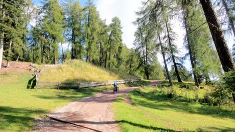 Ein-Mann,-Der-Bei-Sonnigem,-Sonnigem-Wetter-In-Hügeligem-Gelände-Auf-Einem-Naturpfad-Zwischen-Den-Bäumen-Fahrrad-Fährt---Folgeaufnahme