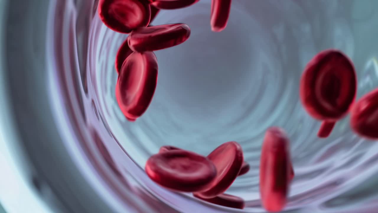 Dynamic video shot from a microscopic angle inside a blood vessel, showcasing red blood cells