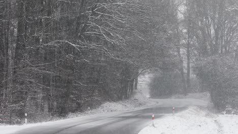 road in the middle forest during snowing