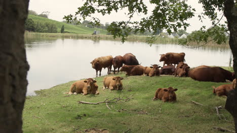 Una-Granja-Ganadera-Boutique-Sustentable