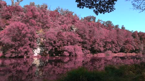 calm-eerie-river-with-pink-trees,-turquoise-sky-and-white-rock-on-its-bank