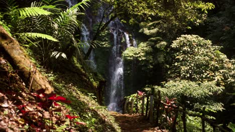 impresionante cascada de banyu wana amertha en el bosque tropical de bali, indonesia