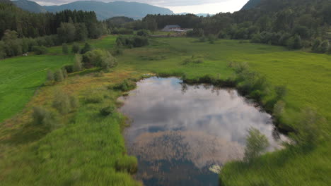 quagmire surrounded by lush green fields and trees