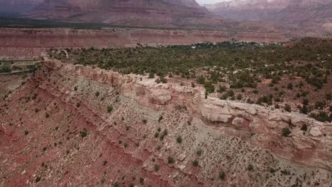 Incline-Hacia-Arriba-La-Antena-Del-Cañón-Y-Las-Formaciones-Rocosas-De-Arenisca-Roja-En-El-Parque-Nacional-Zion,-Utah,-EE.UU.