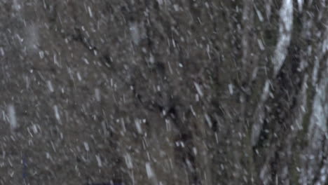 a slow motion shot of heavy snow falling in front bare tree trunks and branches during a cold winter storm
