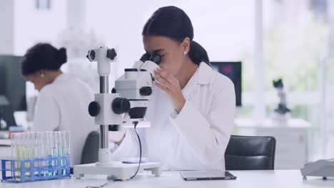 técnica analizando organismos usando