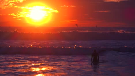 a swimmer in the surf along a southern california beach at sunset