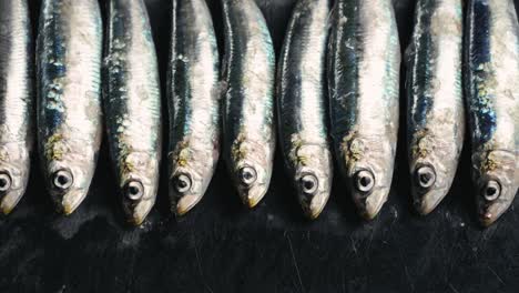 fresh sardines