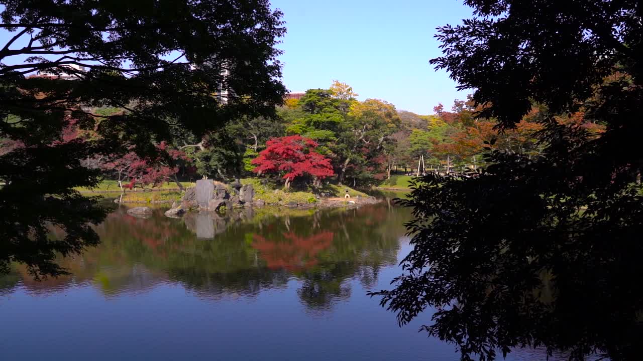 가을에 일본 조경 정원을 배경으로 실루엣 나무의 옆으로 움직이는 모습