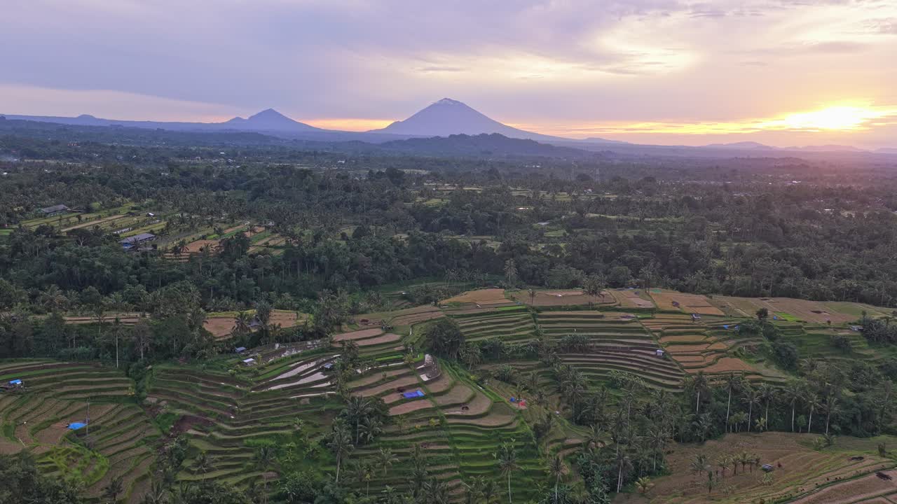 Terrazze di riso di Jatiluwih a Bali all'alba con vista sul vulcano.
