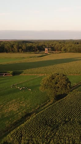 vista aérea de un molino de viento y tierras de cultivo