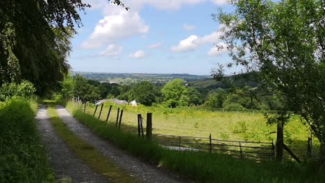 View-across-farmland-and-Welsh-valley,-with-track-and-trees-in-foreground