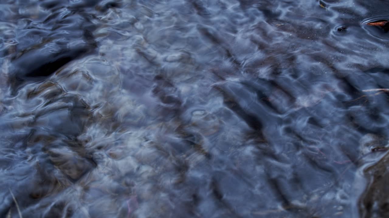 primer plano de agua en un arroyo lentamente bajando por la corriente
