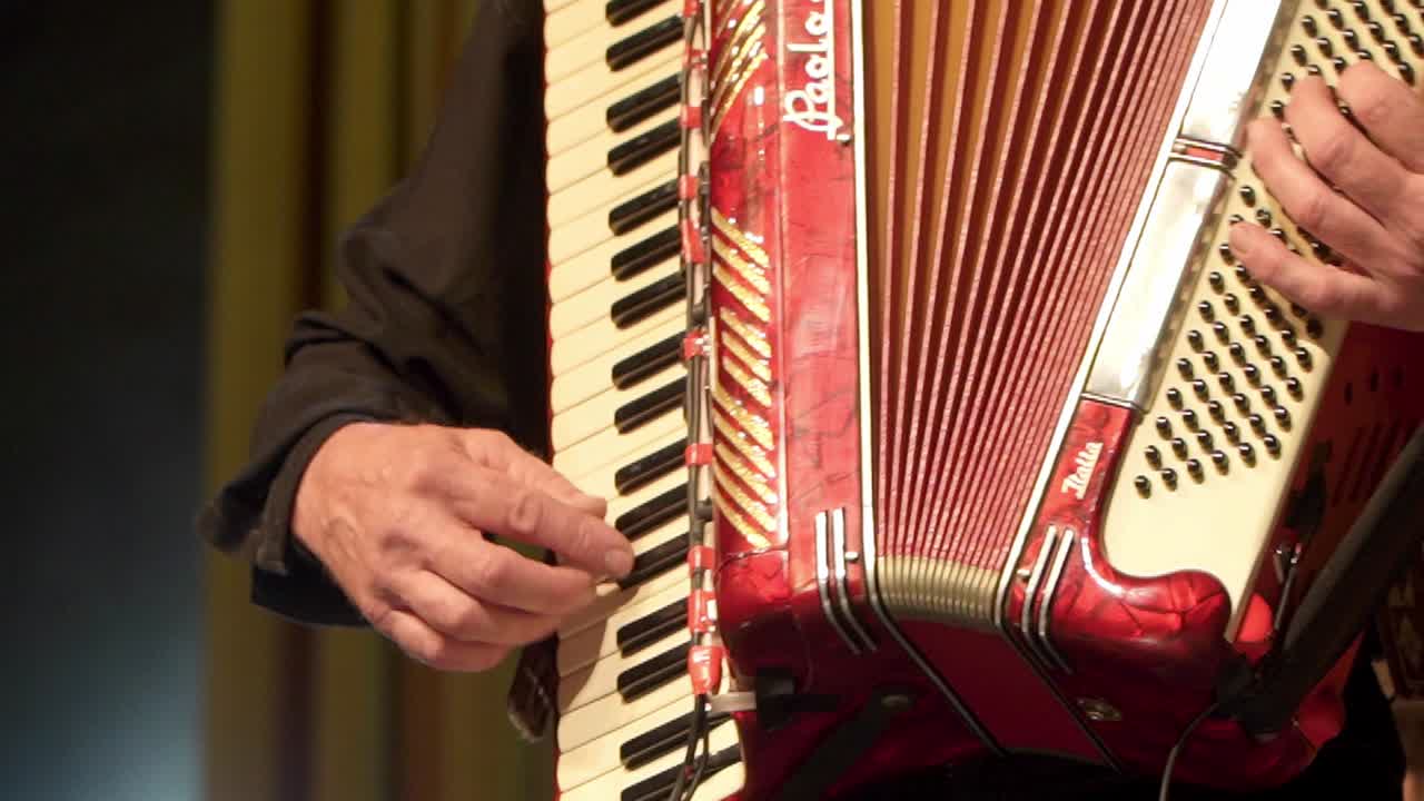 Closeup of an accordionist's hands performing onstage during a folk festival.