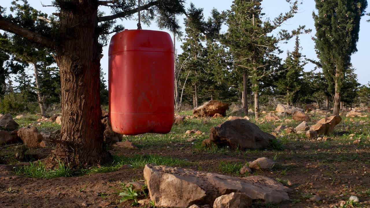 나무에 매달려 있는 대형 플라스틱 주황색 용기 - 침입종을 잡는 애벌레 덫으로 사용됨