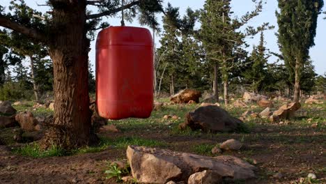 Large-plastic-orange-container-hanging-from-a-tree---used-as-a-caterpillar-trap-for-invasive-species