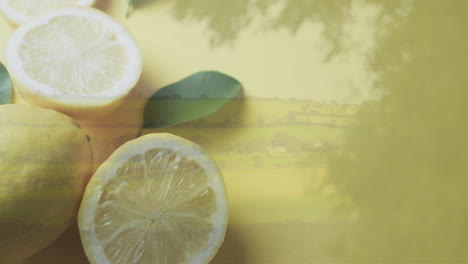 composition of landscape over sliced lemon background