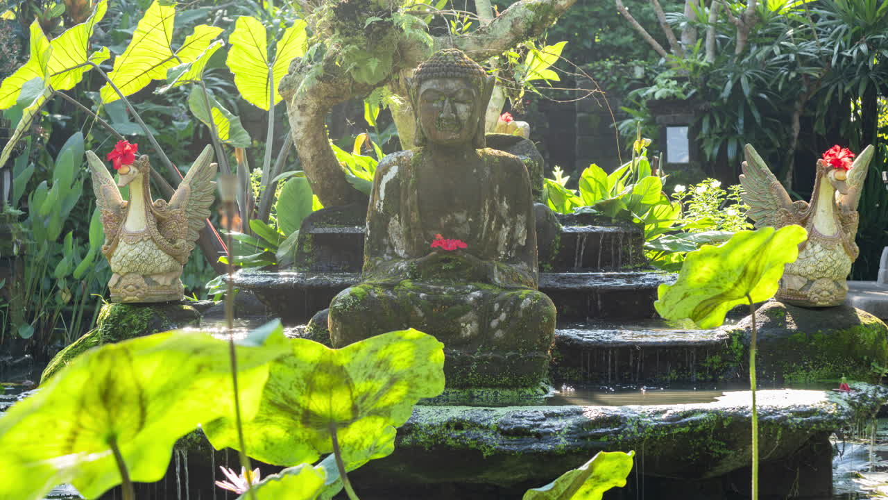 timelpase of a peaceful lotus pond in bali with buddha statue