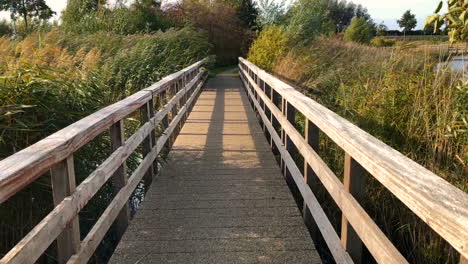 wooden bridge over the lake in the reed