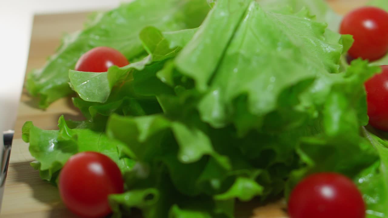 primer plano. tomates de cereza. cultivo en la granja. vegetarianismo