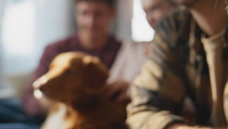cute pets resting people at sunny morning apartment close up. lovely dogs relax
