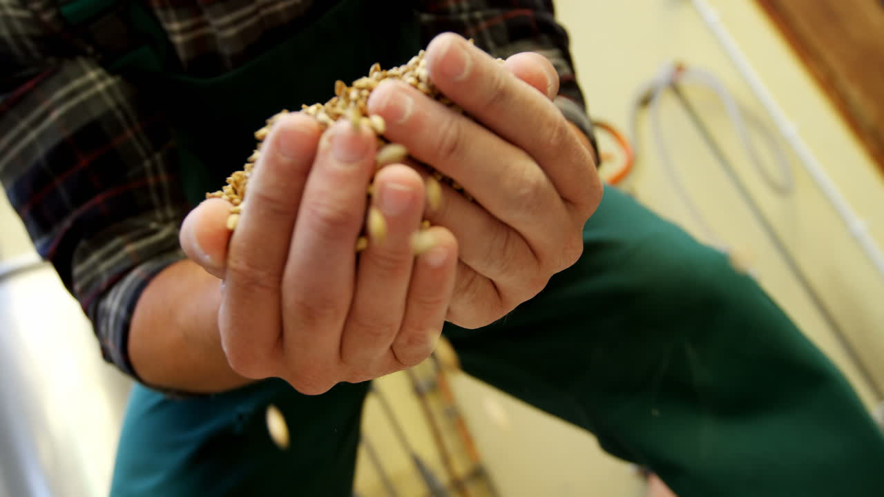 맥주 제조업체가 곡물을 보유하고 있는 4k