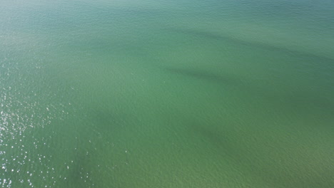 Peaceful-shimmering-light-on-ocean-wave-ripples-of-green-water-in-Atlantic