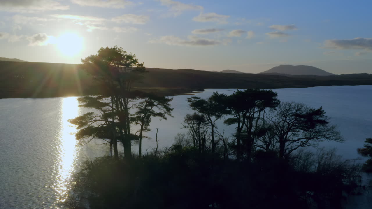 Aerial medium orbit of backlit trees in middle of Lough. Ireland, small lush islands floating on the still water at sunrise, Connemara, Galway, Ireland