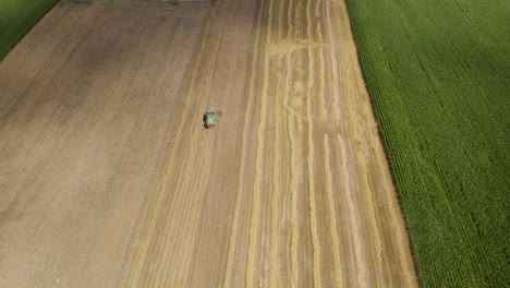 Mähdrescher,-Der-Weizen-Vom-Landwirtschaftlichen-Feld-Erntet,-Luftanflugansicht